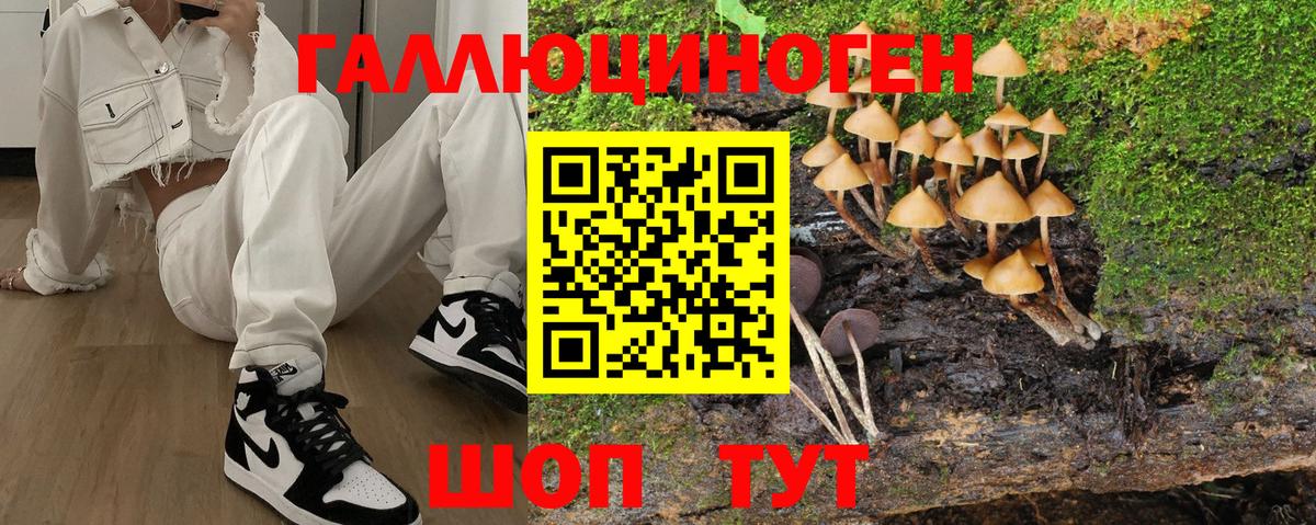 Псилоцибиновые грибы ЛСД Черкесск