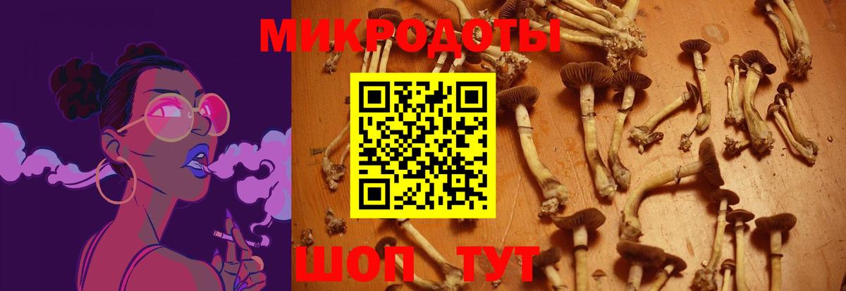 Черкесск  Псилоцибиновые грибы GOLDEN TEACHER  Вход с VPN  Галлюциногенные грибы Magic Shrooms 